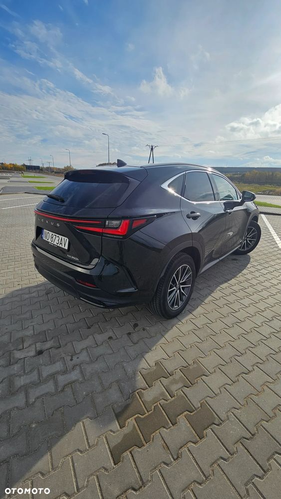 Lexus NX - 6