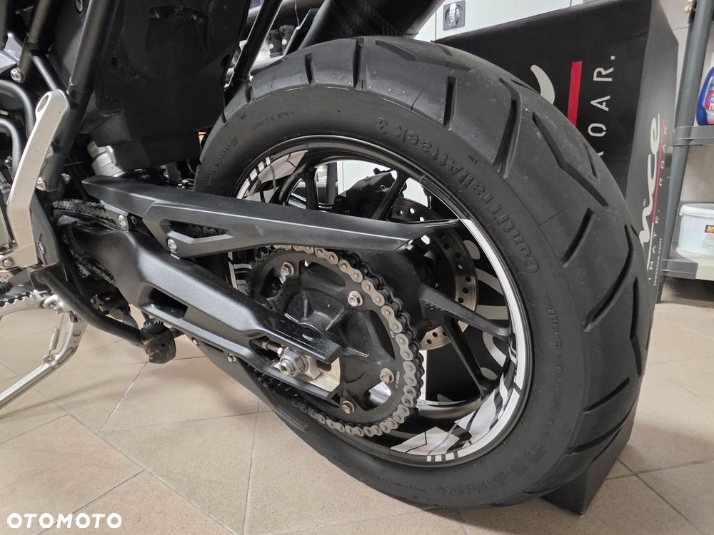 Triumph Tiger - 5