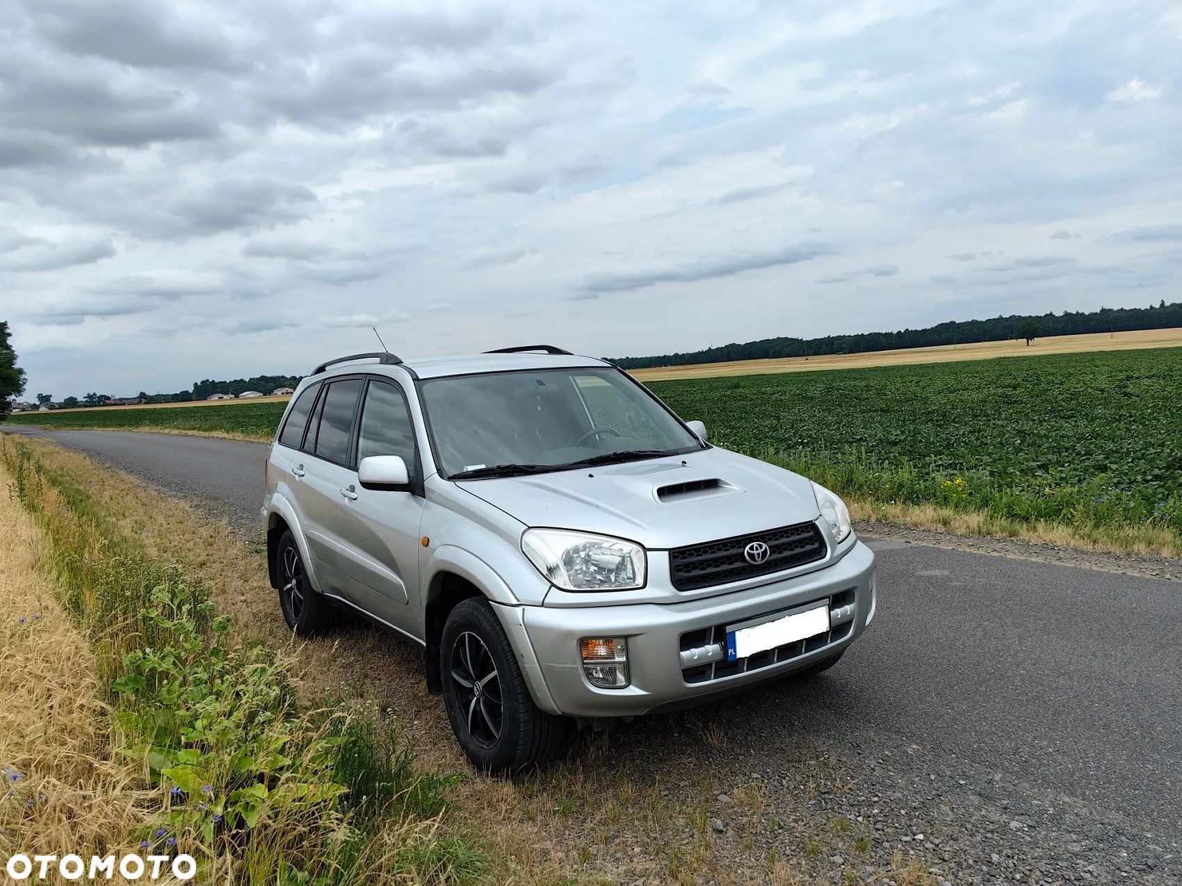 Toyota RAV4 2.0 D-4D 4x4 - 1