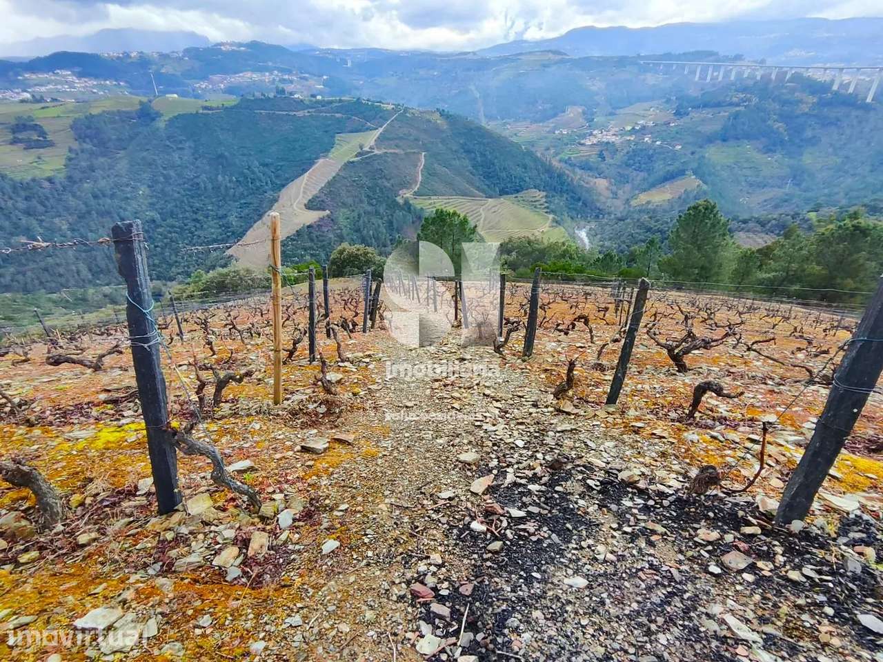 Terreno em Vila real - Grande imagem: 3/16
