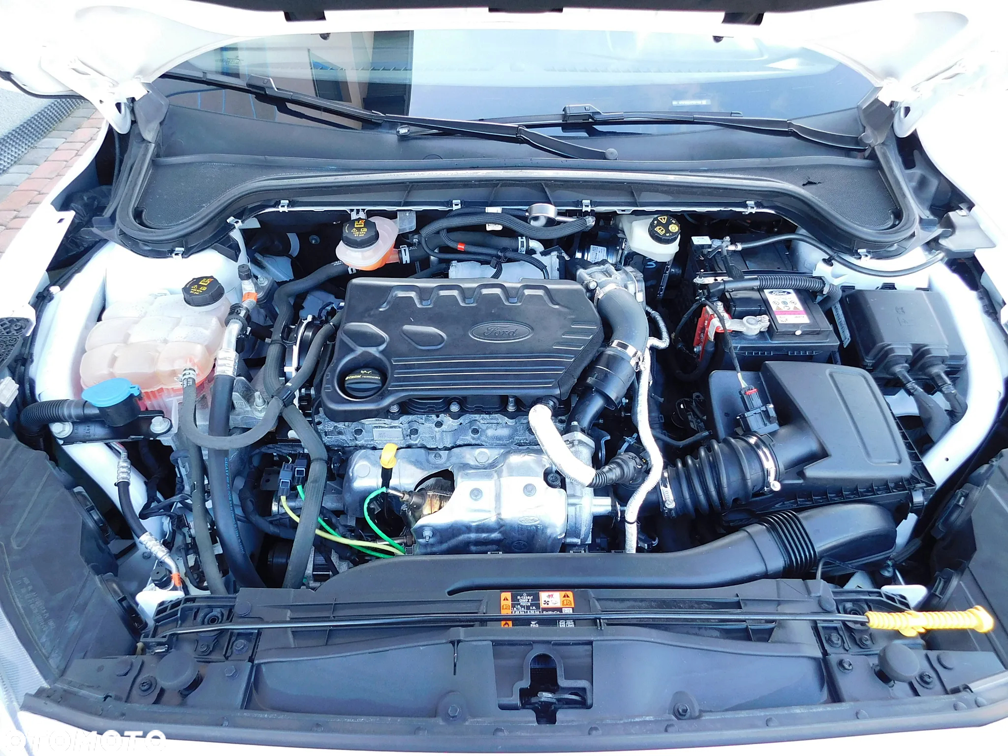 Ford Focus 1.5 EcoBlue ST-Line - 22