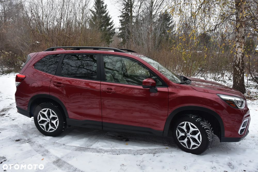 Subaru Forester - 16