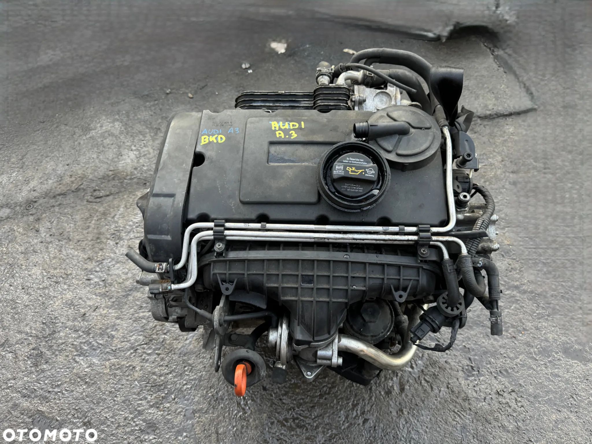 Silnik BKD 2.0 TDI Audi Volkswagen Skoda OE - 1