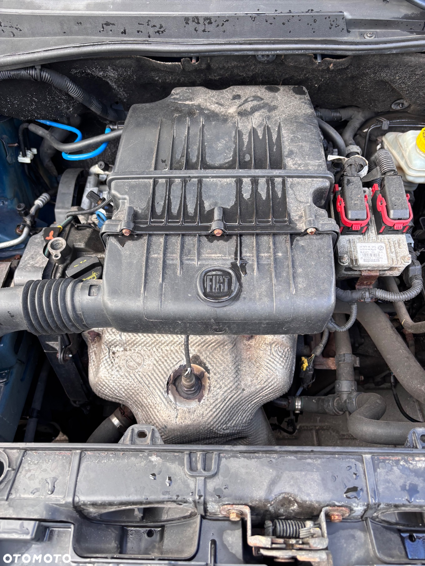 Fiat Punto Evo 1.2 8V MyLife Start&Stop - 17