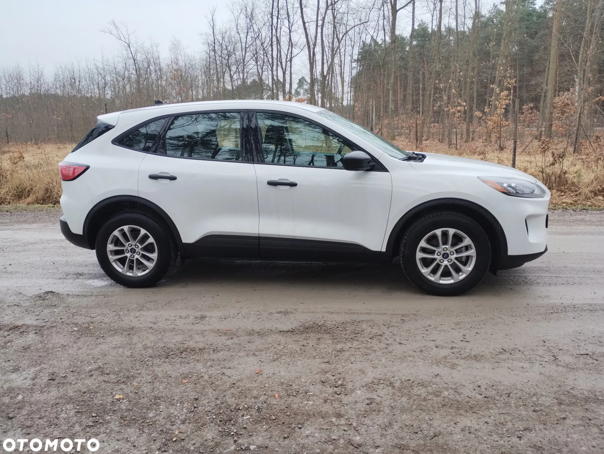 Ford Escape - 7