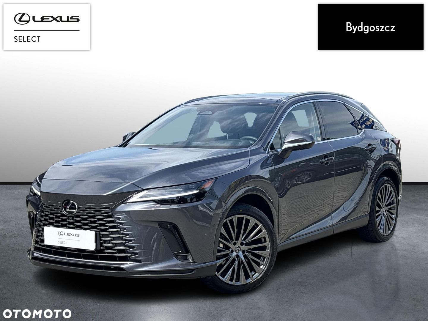 Lexus RX - 1