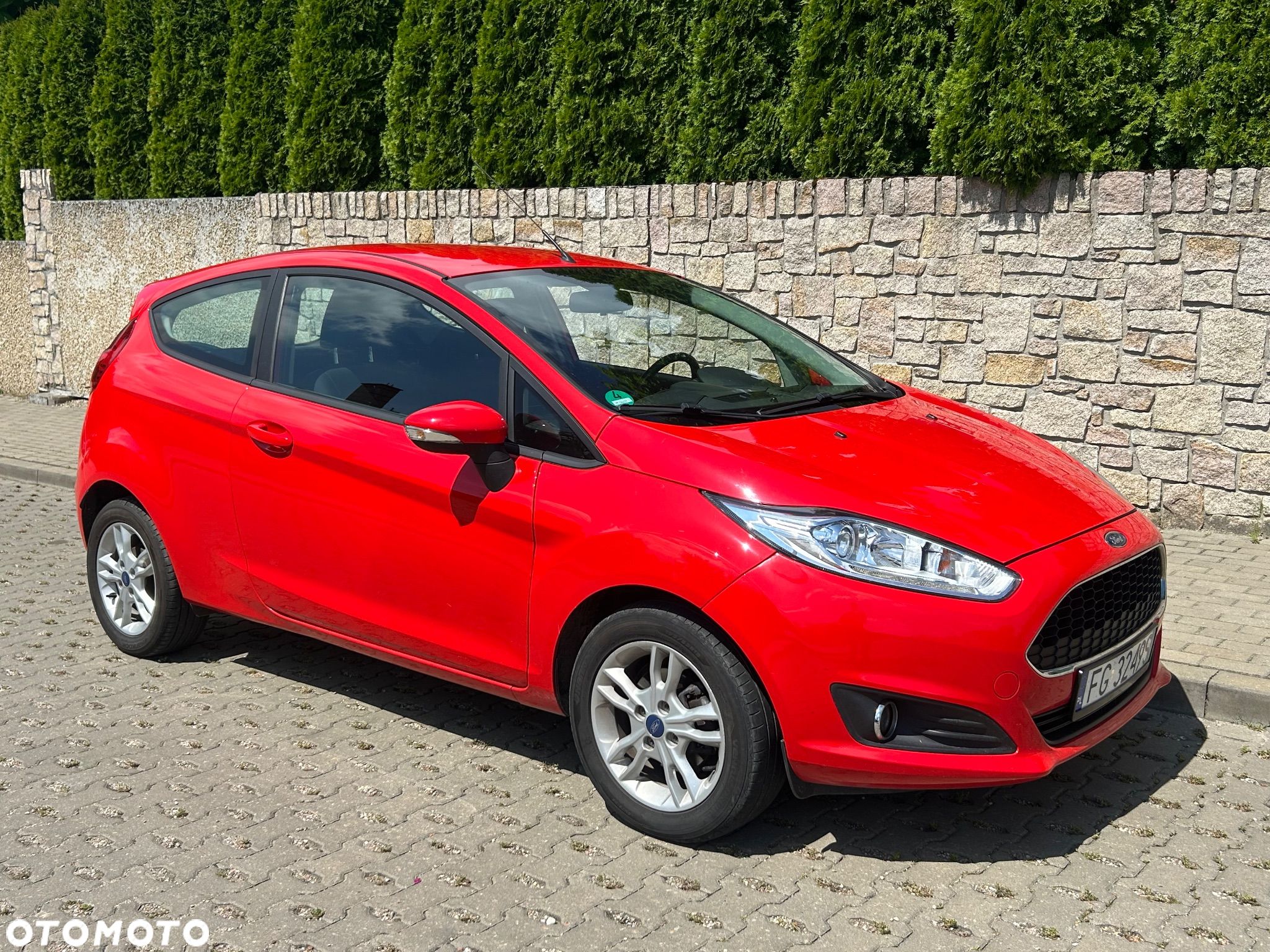 Ford Fiesta - 1