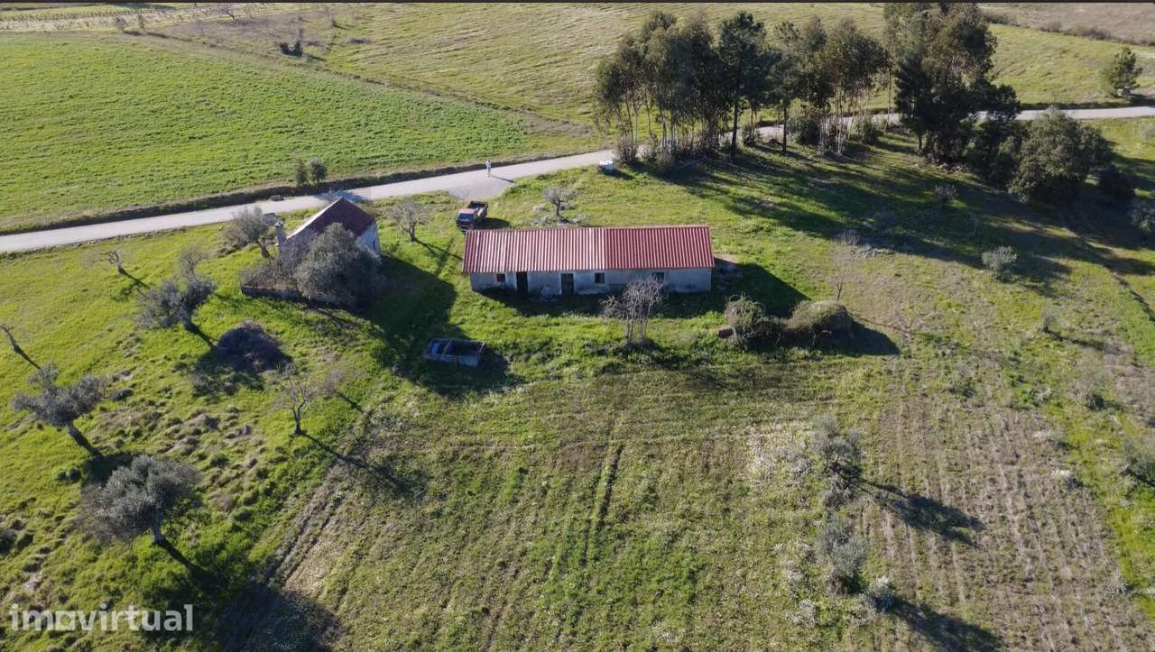 Moradia para Reconstrução com Terreno de 1,2 Hectares e Ribeira – E - Grande imagem: 4/19