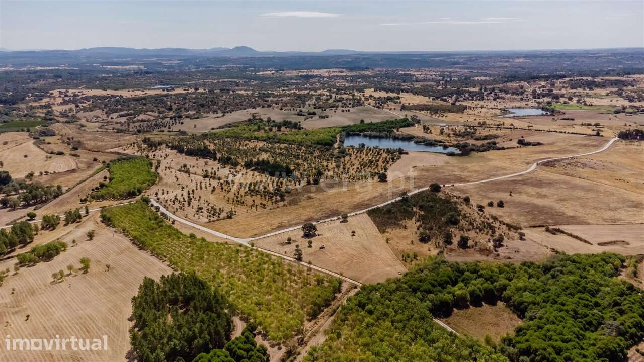 Terreno / Fundão, Orca - Grande imagem: 5/20