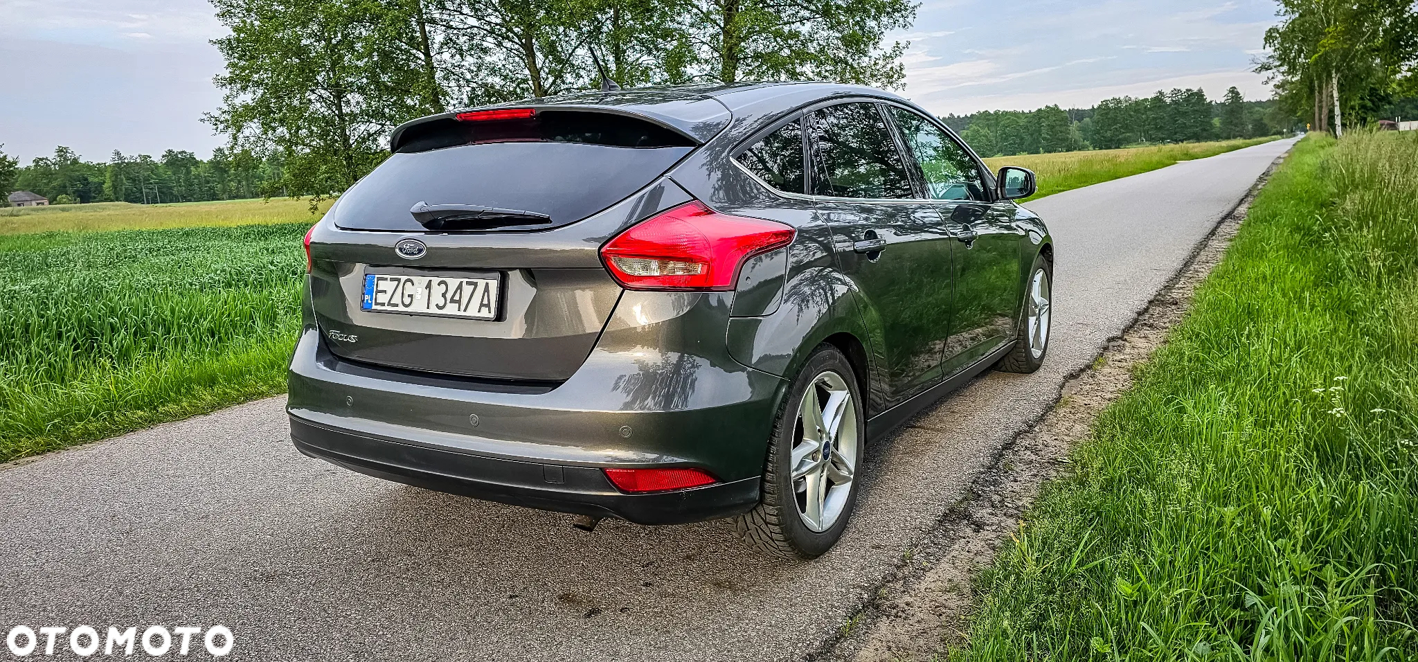 Ford Focus 1.6 Trend Sport - 8
