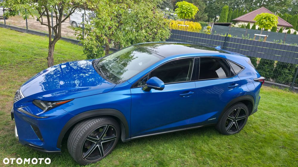 Lexus NX 300h Omotenashi AWD - 13