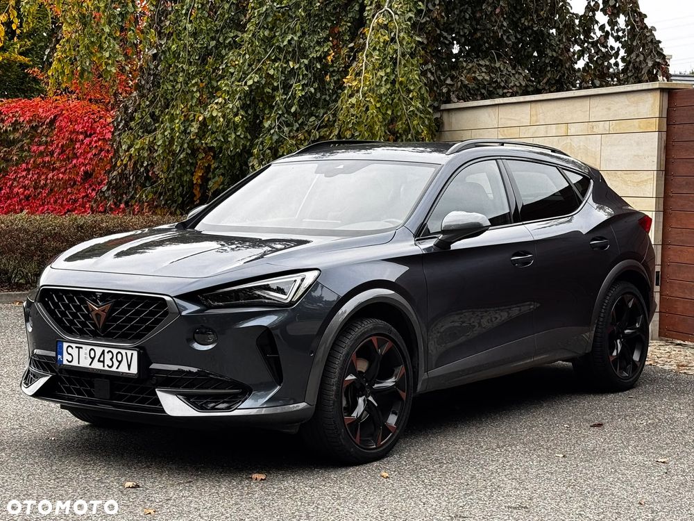 Cupra Formentor 1.5 TSI DSG - 12