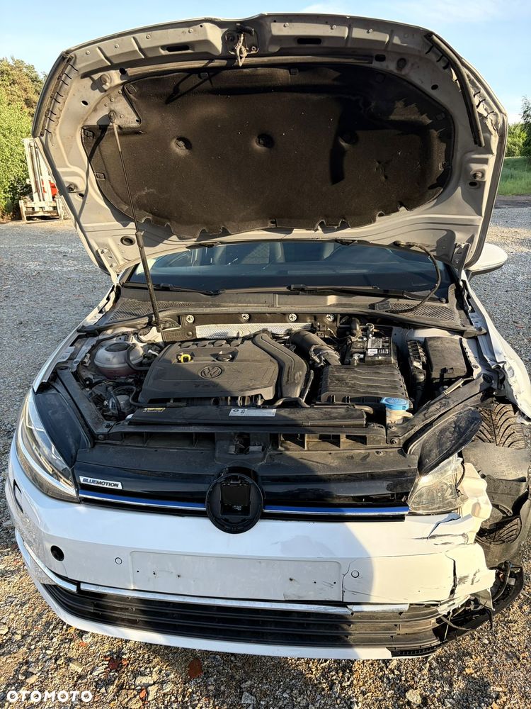 Volkswagen Golf - 21