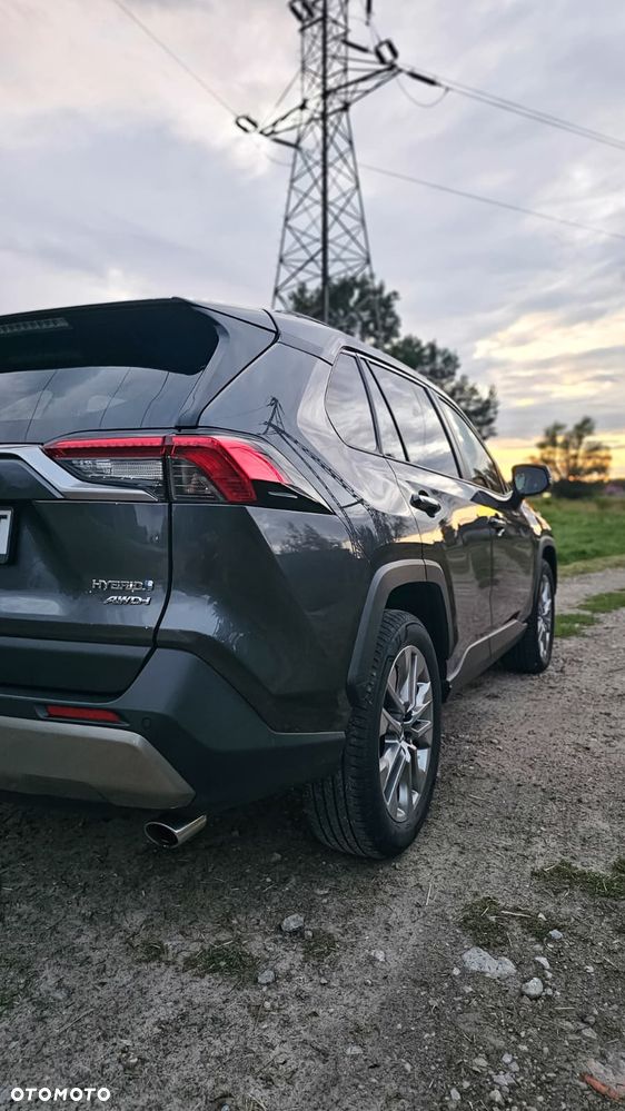 Toyota RAV4 2.5 Hybrid Executive 4x4 - 7