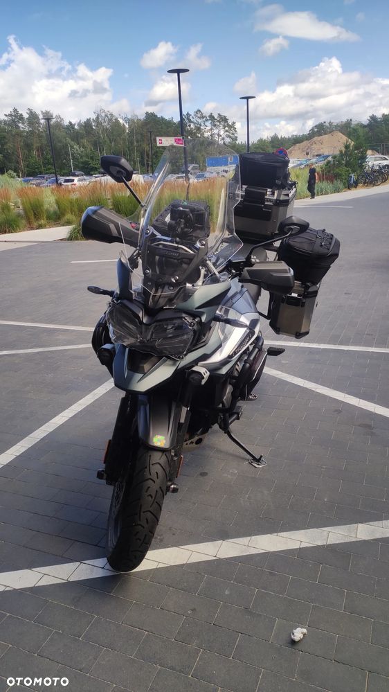 Triumph Tiger - 1