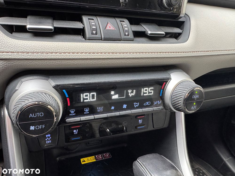 Toyota RAV4 2.5 Hybrid Executive 4x2 - 19