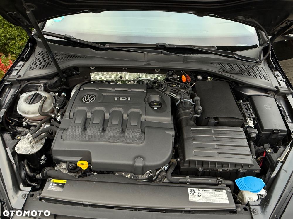 Volkswagen Golf - 19