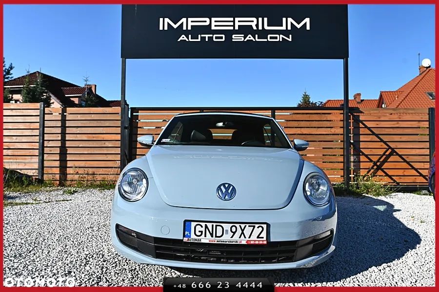 Volkswagen Beetle - 6
