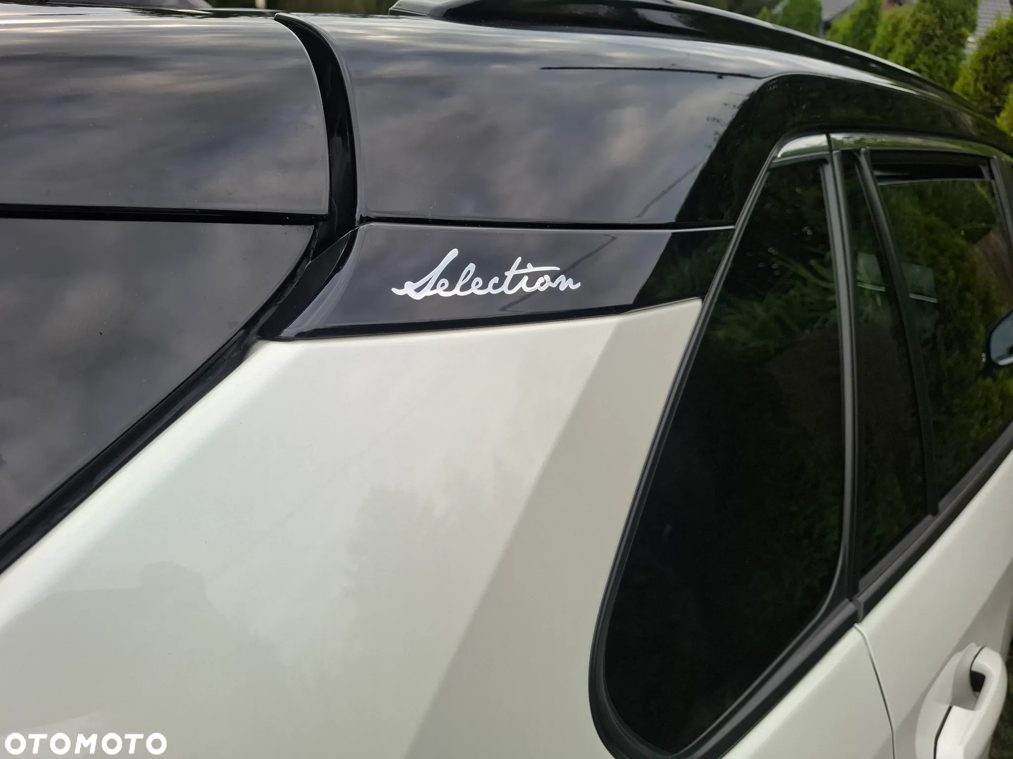 Toyota RAV4 2.5 Hybrid Selection 4x4 - 9