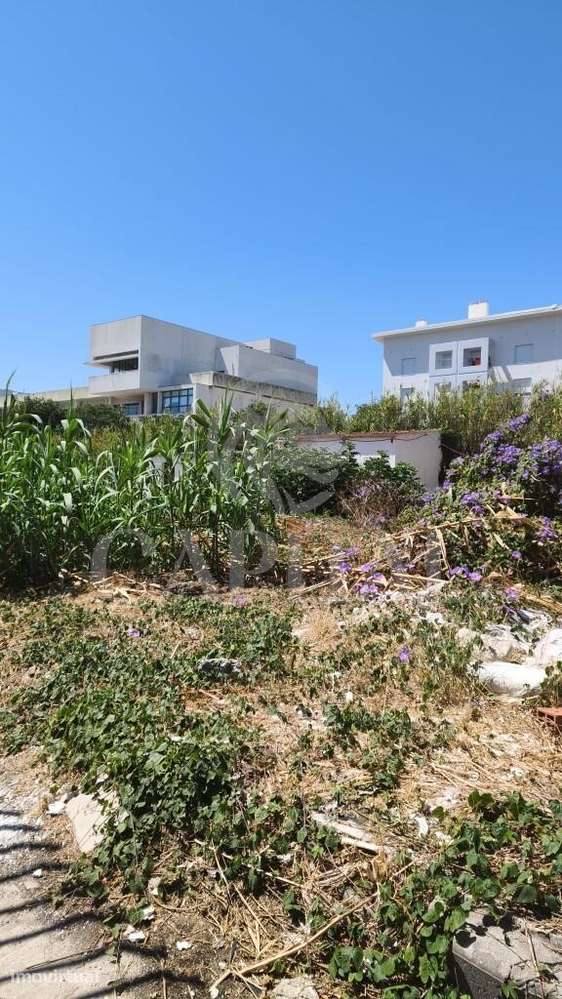 Terreno de 2.000 m2 na Ajuda com elevado potencial de construção. - Grande imagem: 4/5
