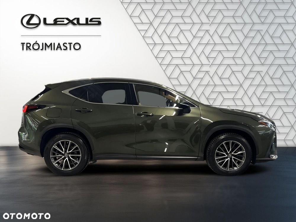 Lexus NX - 7