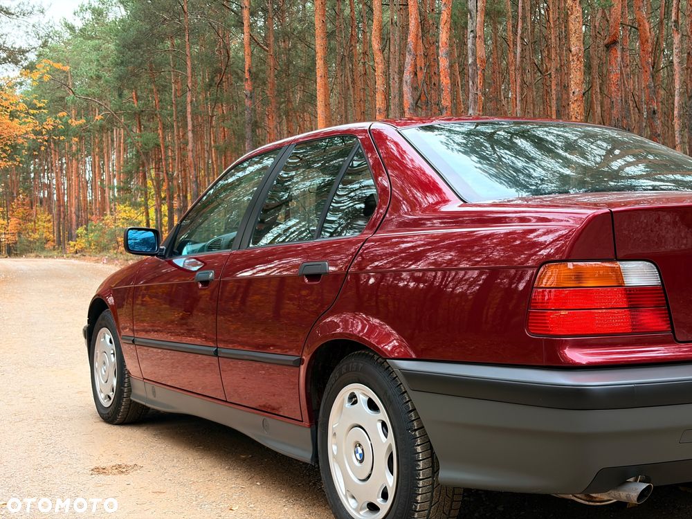 BMW Seria 3 316i - 8