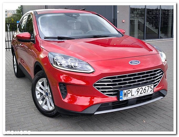 Ford Escape - 5