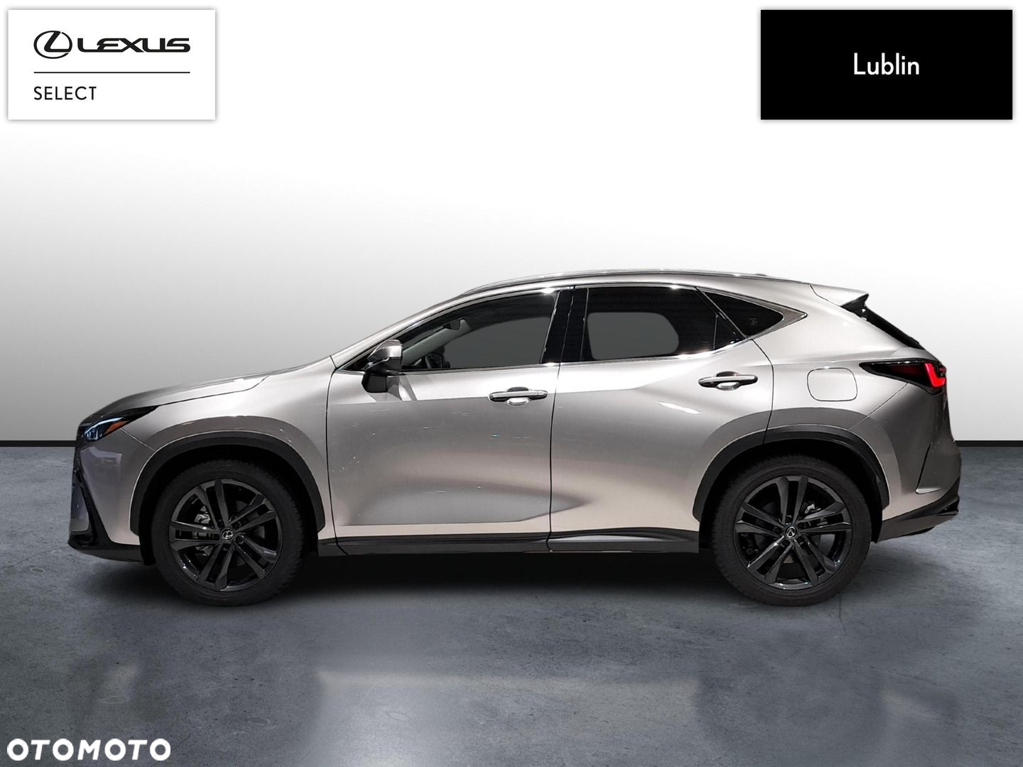 Lexus NX 350h Prestige AWD - 2