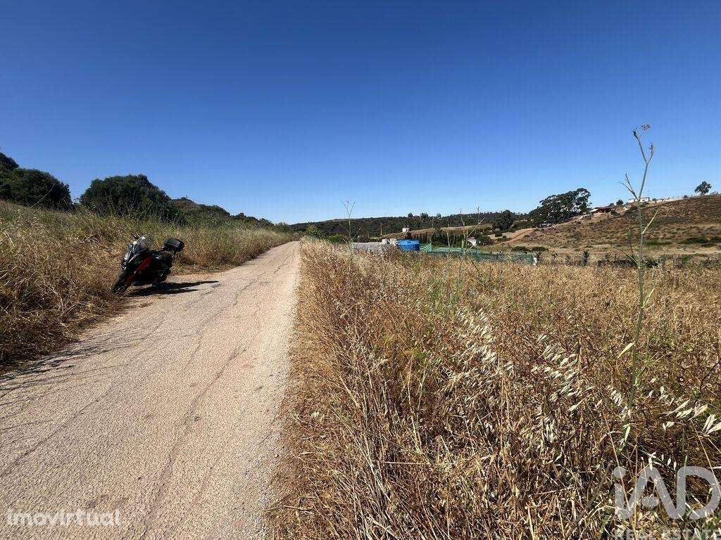 Terreno em Barão de São Miguel - Grande imagem: 3/8