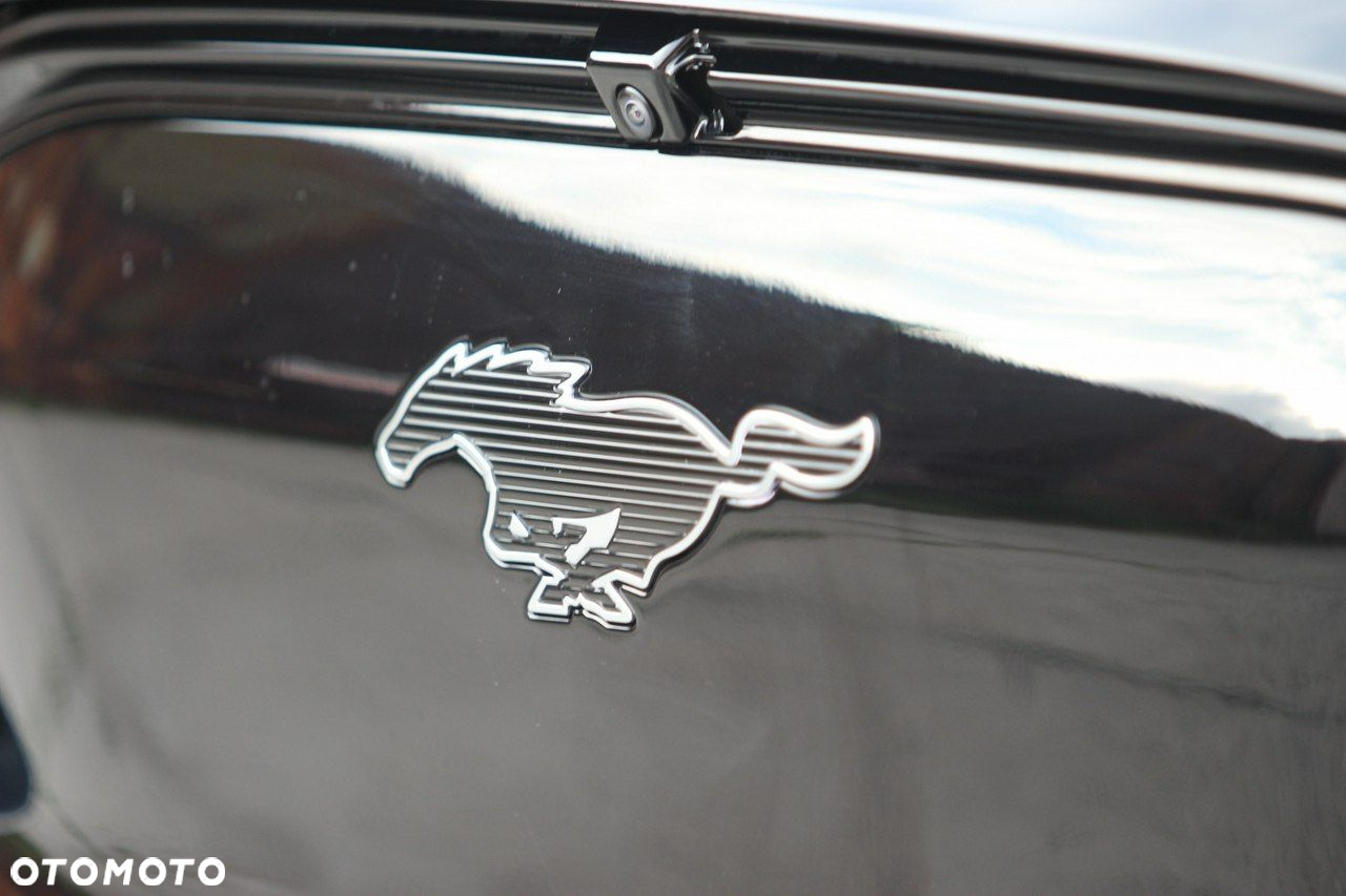 Ford Mustang Mach-E - 7