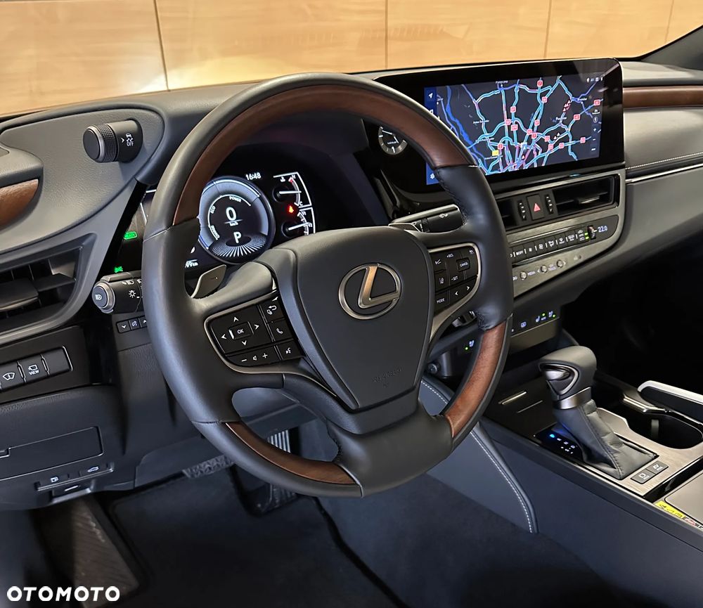 Lexus ES 300h Omotenashi - 13
