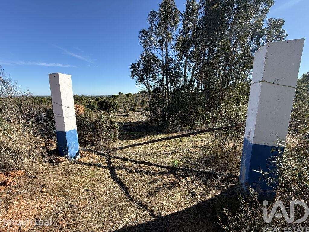 Casa de Campo T1 em Amieira e Alqueva de 36 m2 - Grande imagem: 4/23