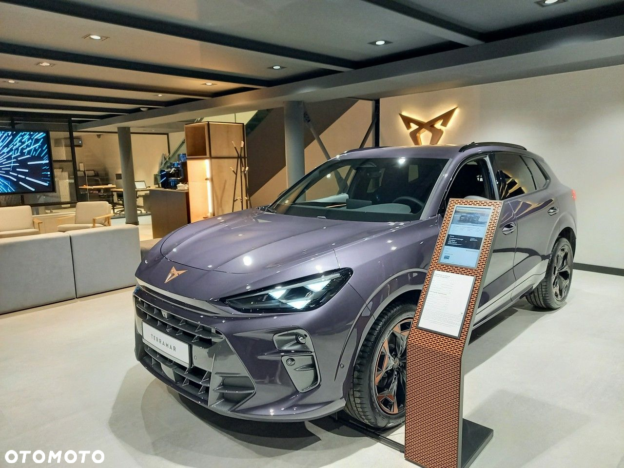Cupra Terramar - 11