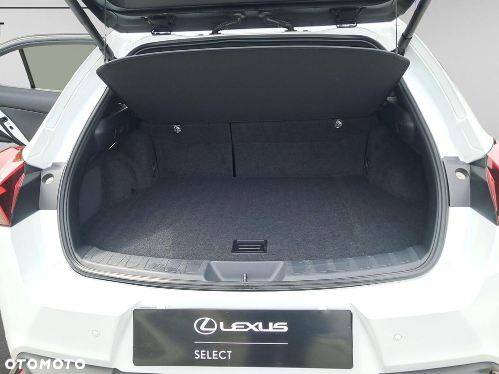 Lexus UX 250h GPF F Sport Design 2WD - 13