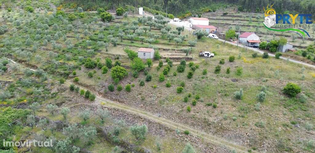 Terreno com área total de 6900 metros quadrados a confinar com ribeiro - Grande imagem: 3/19