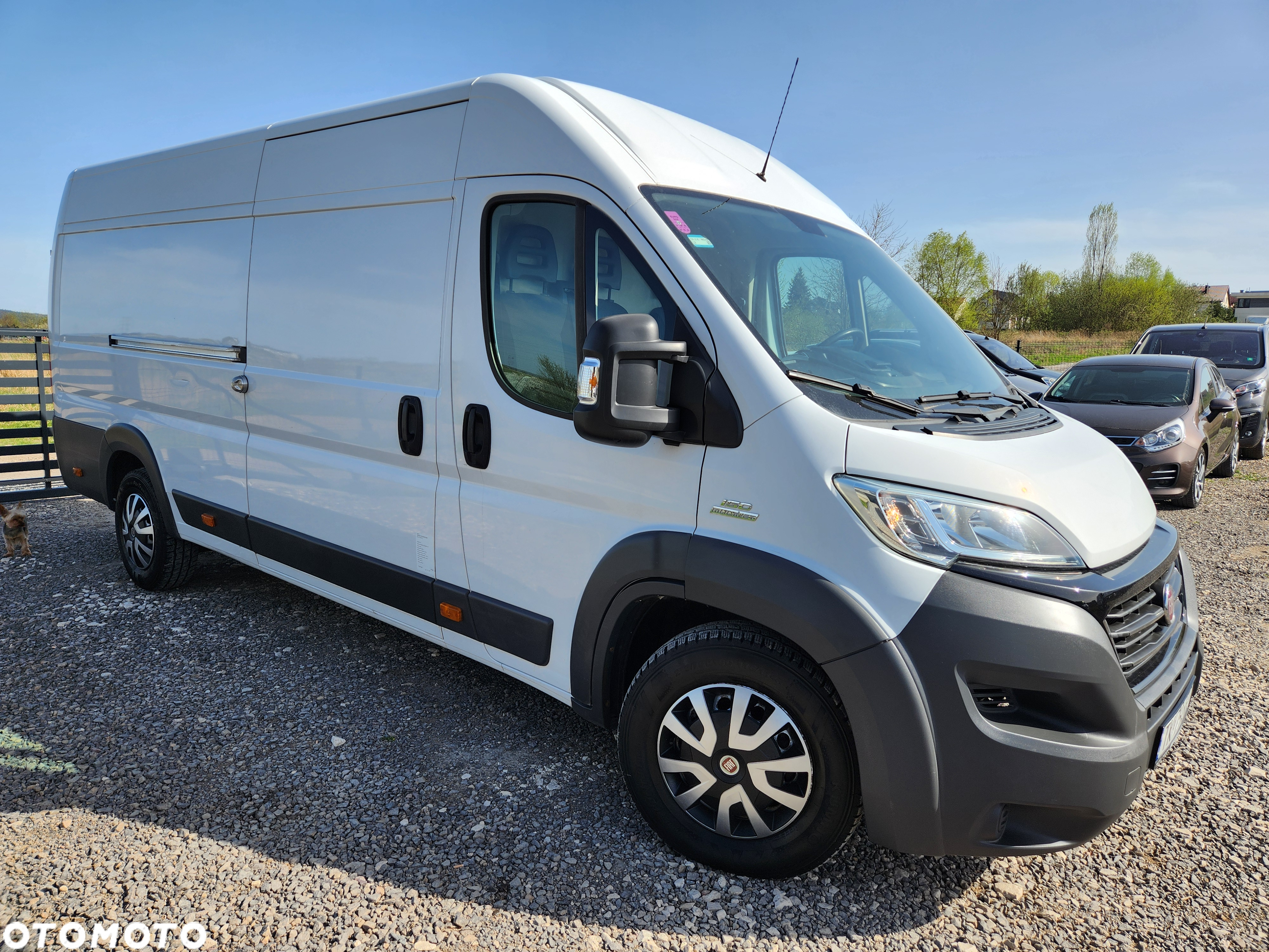 Fiat Ducato - 19
