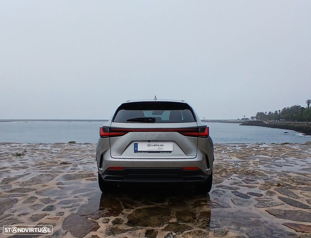 Lexus NX 450h+ - 4