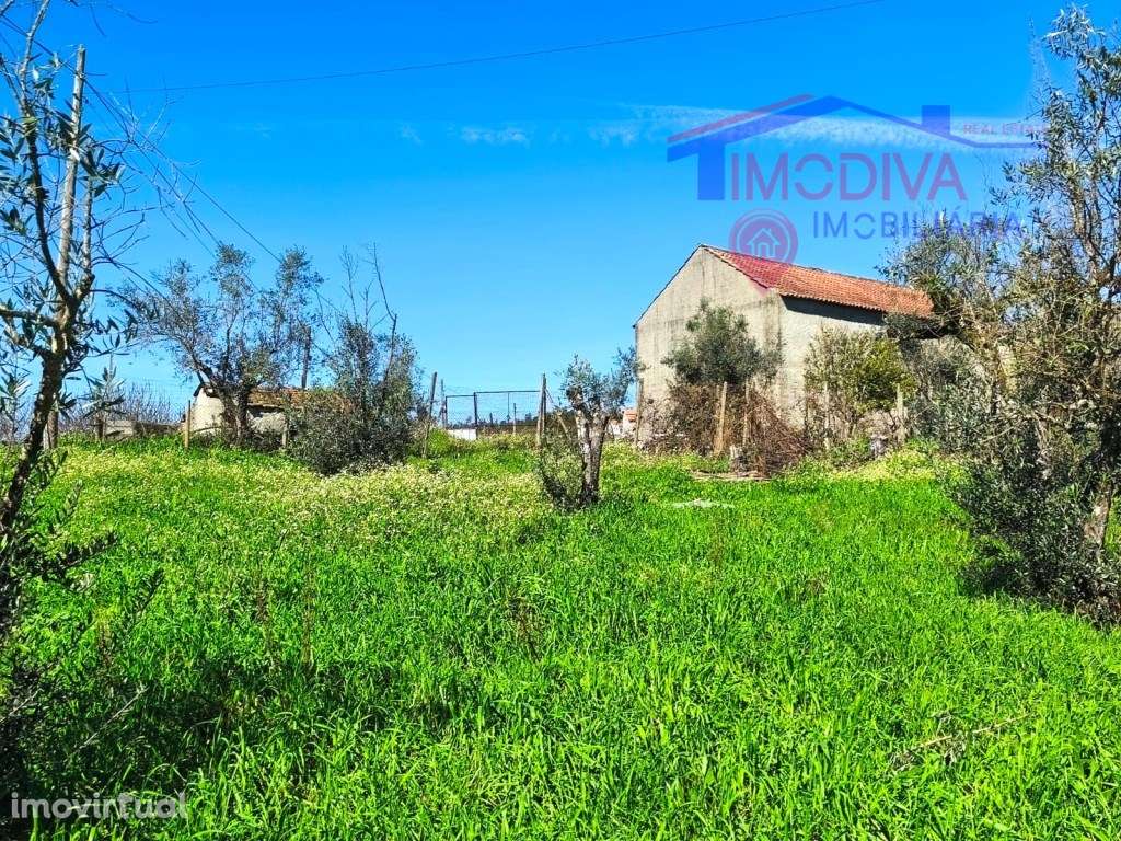 Quinta com mais de um héctar de terreno, em Graça, Pedrogão Grande - Grande imagem: 4/25