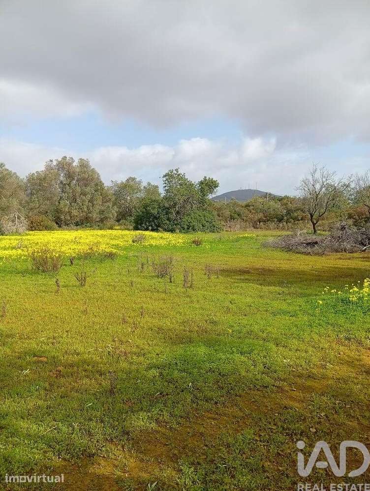 Terreno misto em Conceição e Estoi - Grande imagem: 5/13