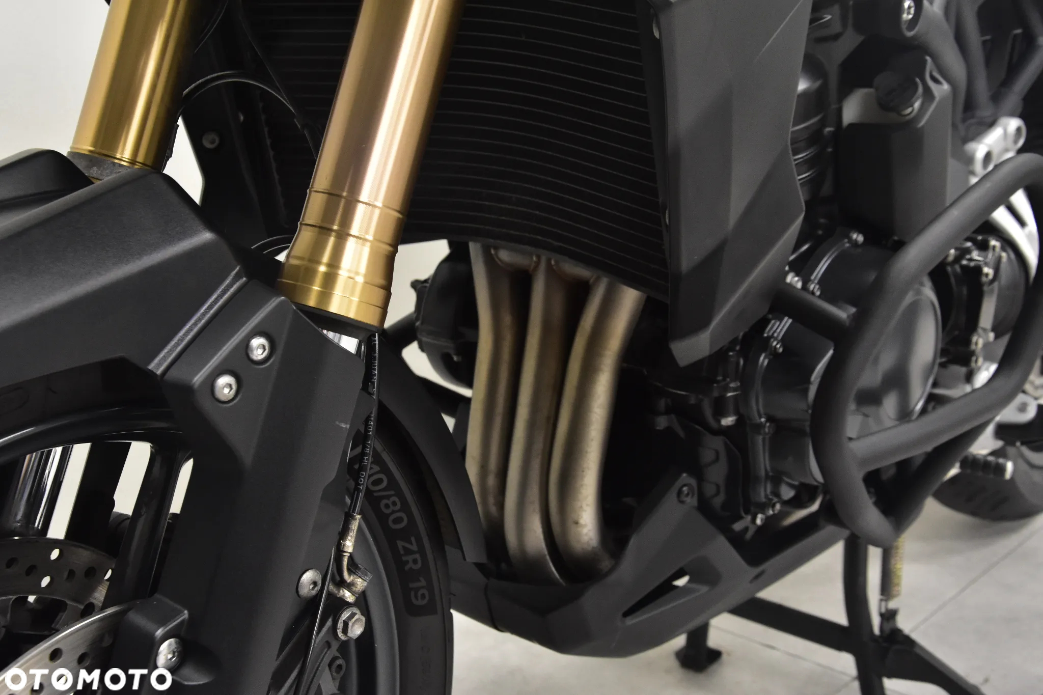 Triumph Tiger - 22