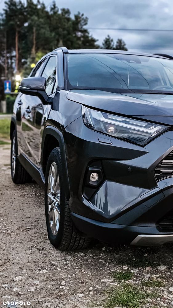 Toyota RAV4 2.5 Hybrid Executive 4x4 - 9