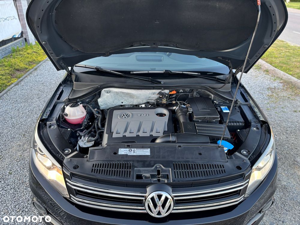 Volkswagen Tiguan - 20