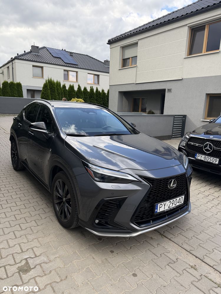 Lexus NX - 13