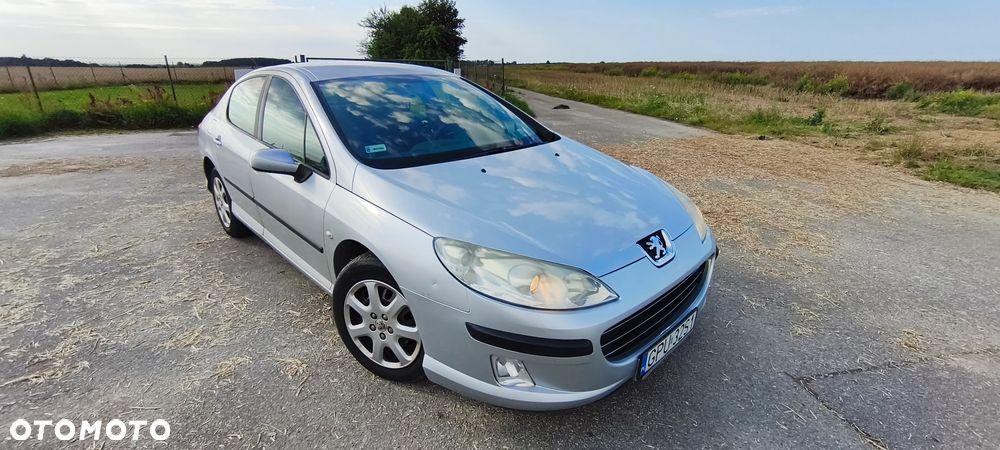 Peugeot 407 - 16