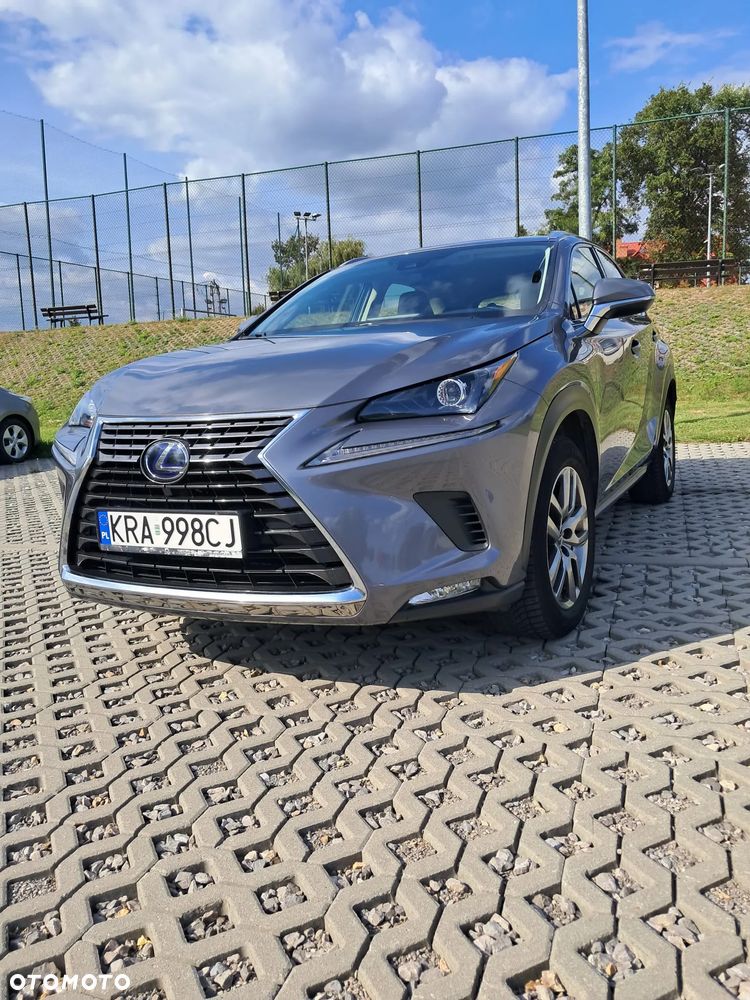 Lexus NX 300h Elegance Optimum AWD - 2