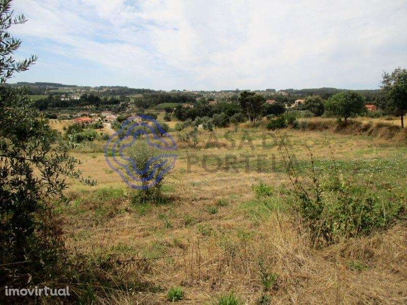 Terreno agrícola com 4.280 m2 a 5 minutos da Aldeia de Dornes, centro - Grande imagem: 3/15