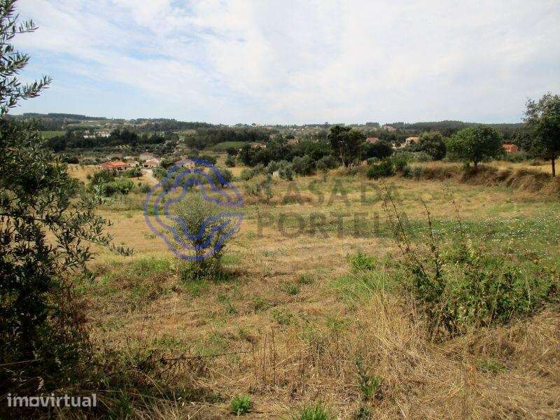 Terreno agrícola com 4.280 m2 a 5 minutos da Aldeia de Dornes, centro - Grande imagem: 3/15