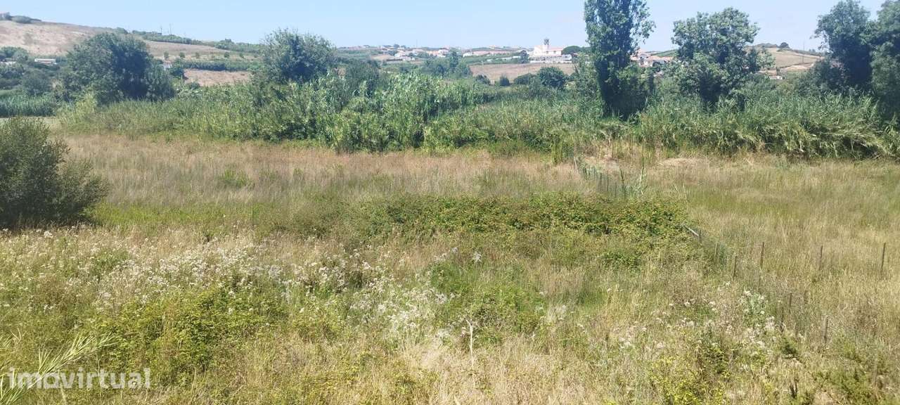Terreno Agrícola para Venda em São Lourenço, Ribamar, 5.437m2- 22.500€ - Grande imagem: 5/18