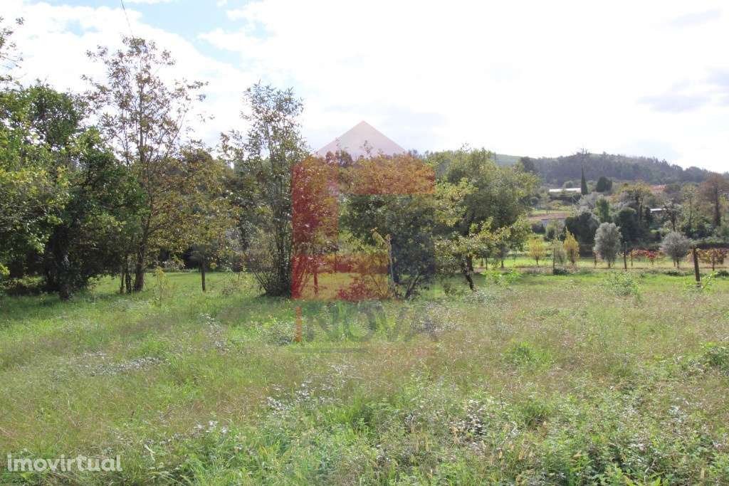 Quintinha em Travassós, Vila Verde - Grande imagem: 3/6