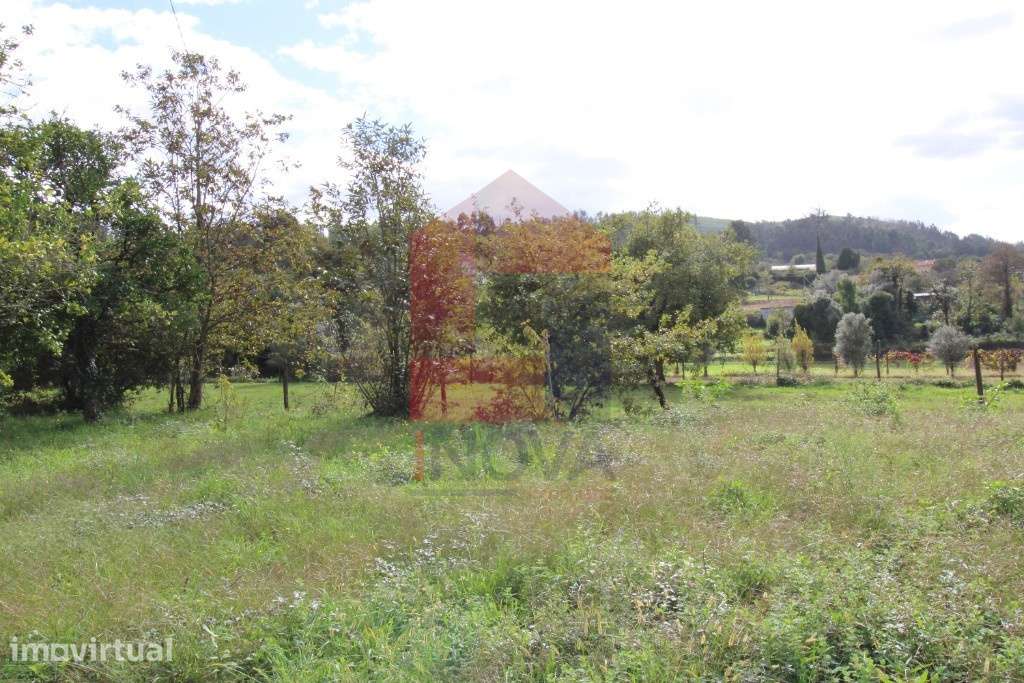 Quintinha em Travassós, Vila Verde - Grande imagem: 3/6